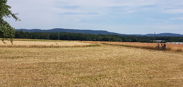 20180704_100949-a_g.jpg