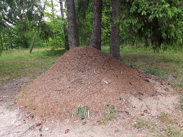 20180824_182905_g.jpg