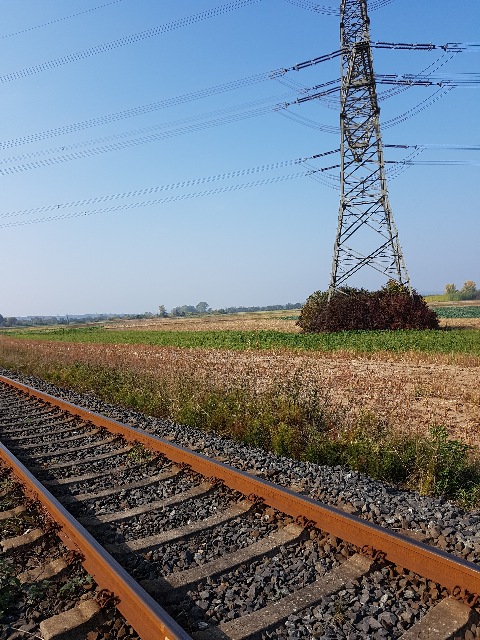 20181008_112313_g.jpg