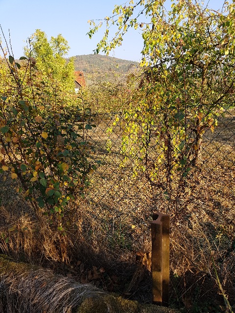 20181017_160203_g.jpg