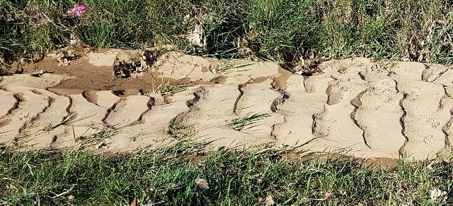 20190320_142543-b_g.jpg