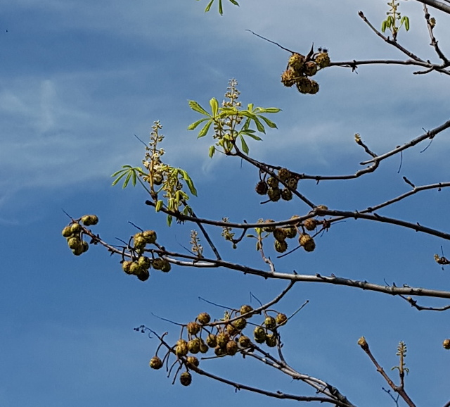 20190919_144617-a_g.jpg
