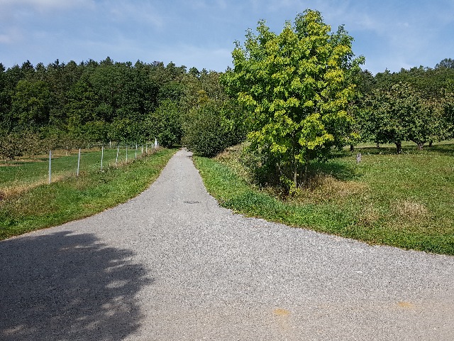 20190919_150056_g.jpg