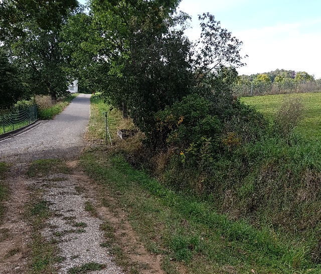 20190919_150740-a_g.jpg