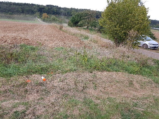20190922_164342_g.jpg