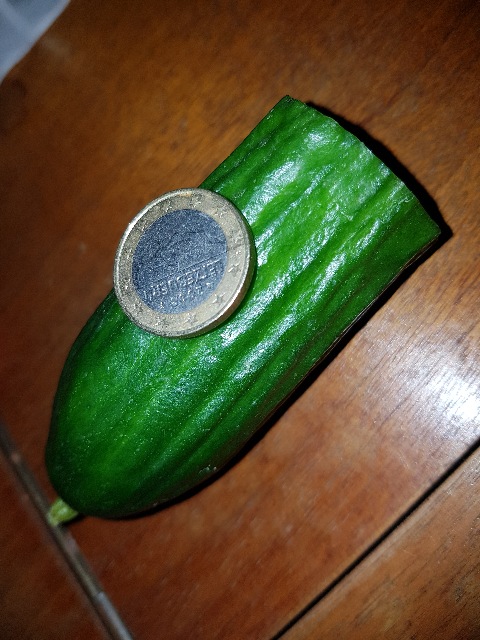 20230113_090102_g.jpg