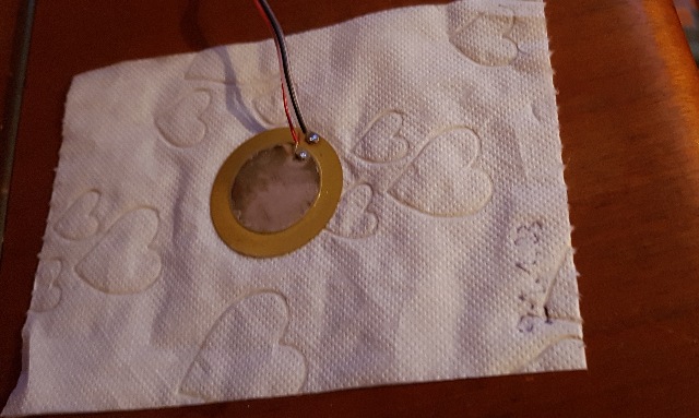 20230129_171825_g.jpg