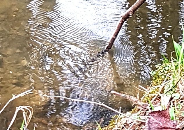 20230322_144731-a.jpg