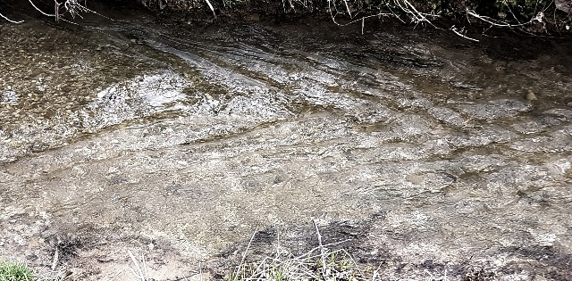 20230329_133441-c_g.jpg