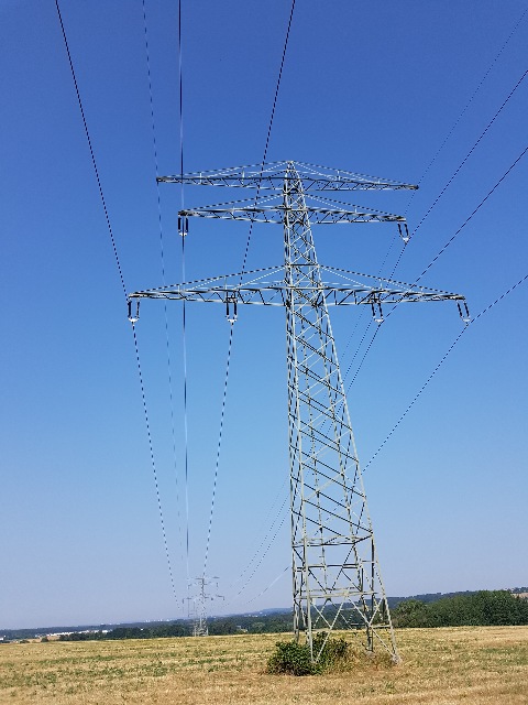 20230711_100502_g.jpg