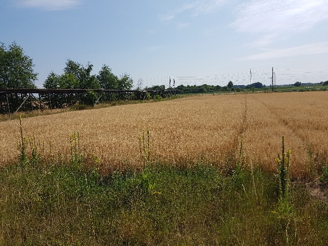 20230719_103753_g.jpg