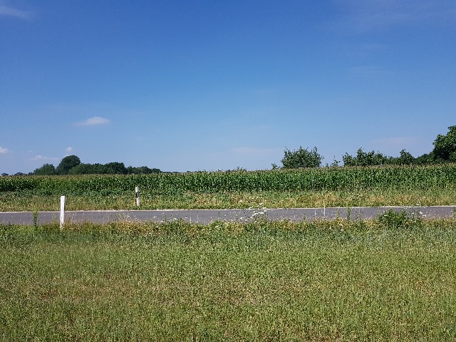 20230719_104528_g.jpg