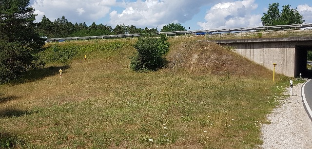 20230720_114711-a_g.jpg