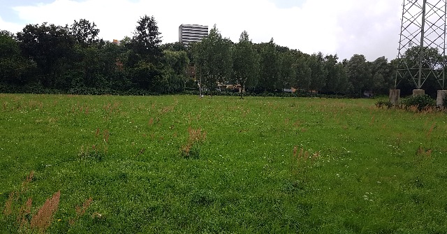 20230806_140637_g.jpg