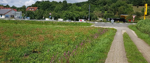 20230808_113029-a_g.jpg