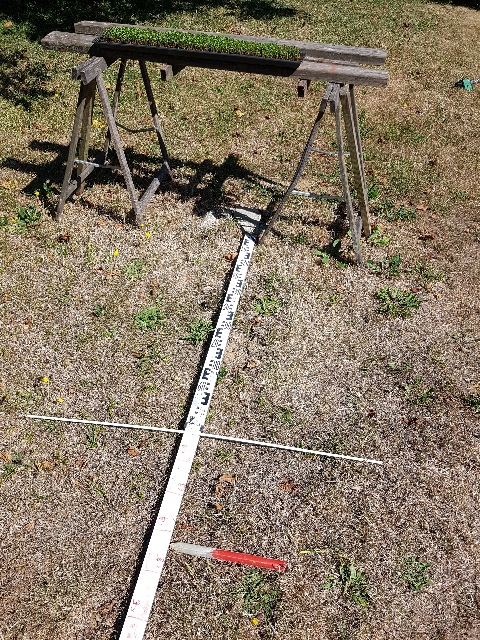 20260808_103817_g.jpg