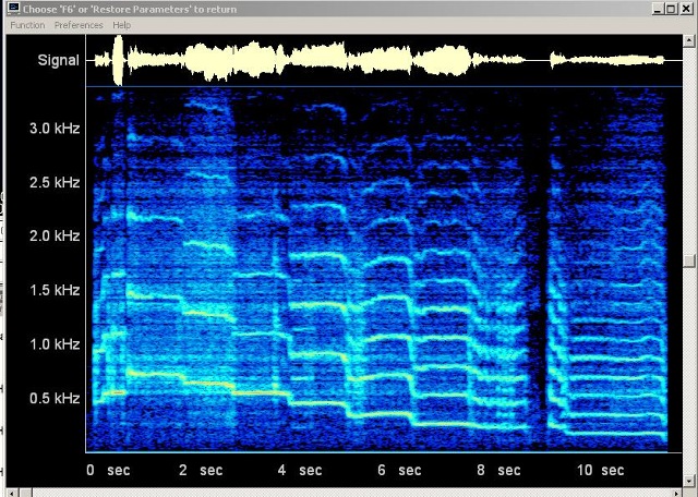 Audio-Aufnahme 2020-03-25 16-36-30-teil-002_g.jpg