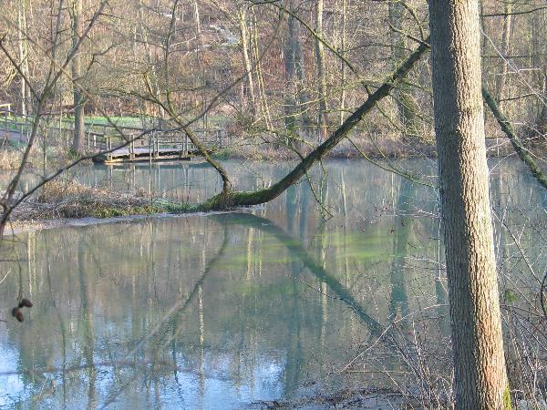 imk_5752_g.jpg
