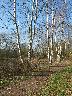 imk_5756_k.jpg