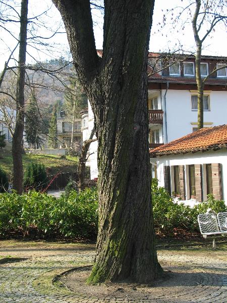 imk_5798_g.jpg