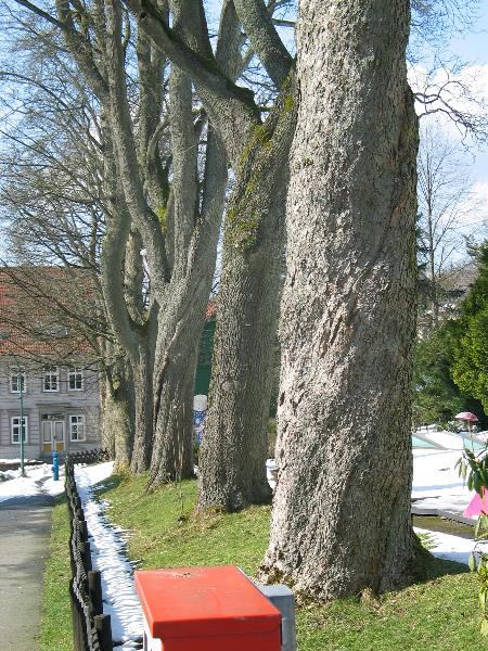 imk_6148_g.jpg
