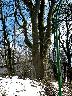 imk_6149_k.jpg