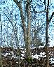 imk_6153_k.jpg
