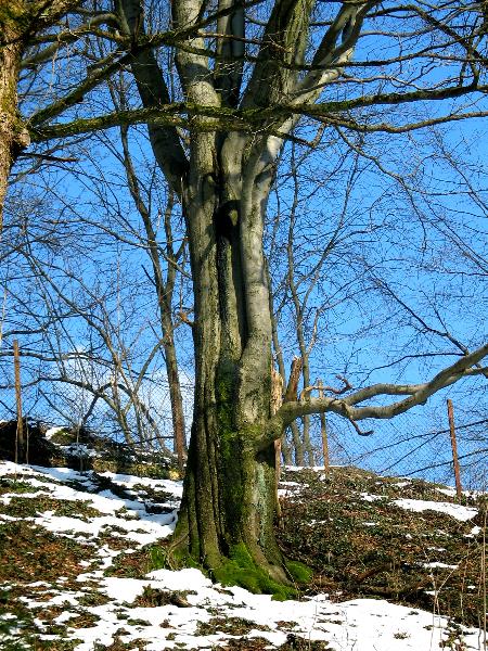imk_6155_g.jpg