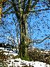 imk_6155_k.jpg
