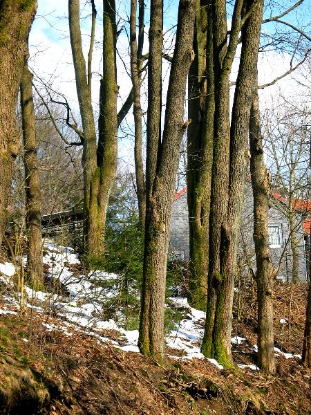 imk_6157_g.jpg