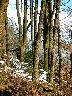 imk_6157_k.jpg