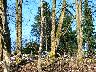imk_6159_k.jpg