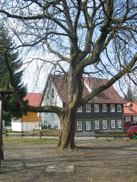 imk_6318_g.jpg