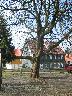 imk_6318_k.jpg