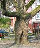 imk_6321_k.jpg