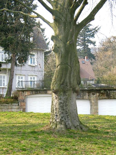 imk_6324_g.jpg