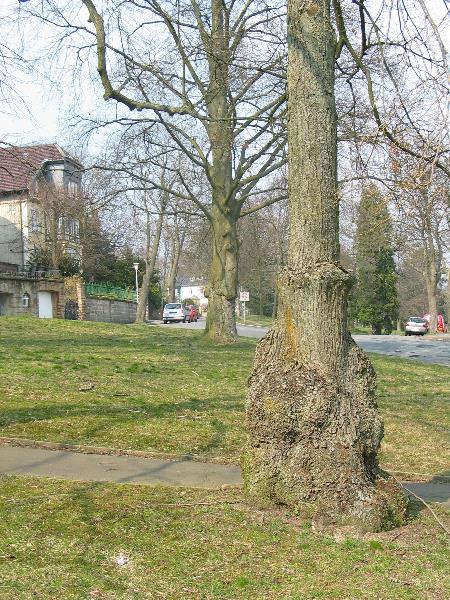 imk_6327_g.jpg