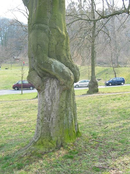 imk_6330_g.jpg