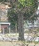 imk_6332_k.jpg