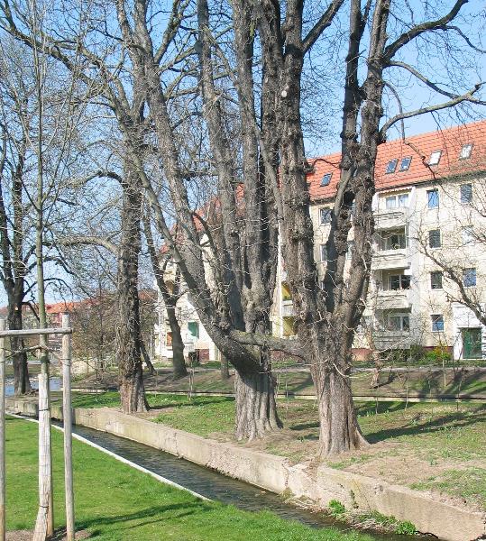imk_6334_g.jpg