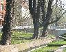imk_6335_k.jpg