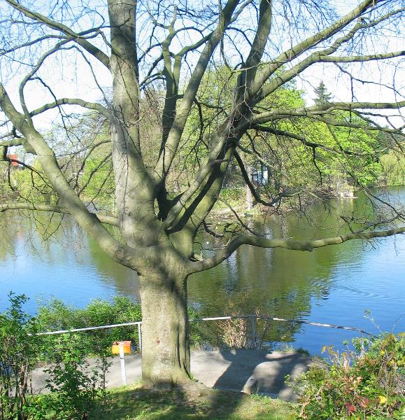 imk_6511_g.jpg