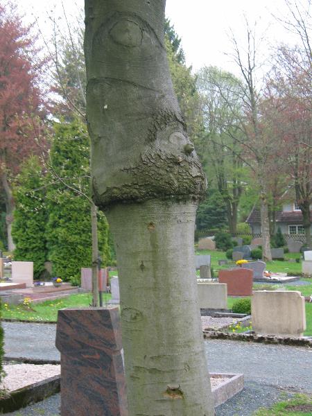imk_6590_g.jpg