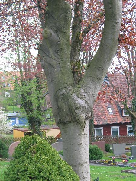 imk_6594_g.jpg