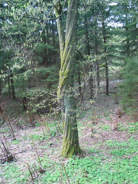 imk_6604_g.jpg