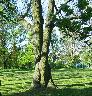 imk_6659_k.jpg