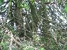 imk_6772_k.jpg