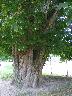 imk_8089_k.jpg
