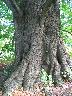 imk_8243_k.jpg