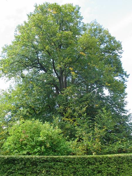 imk_8244_g.jpg